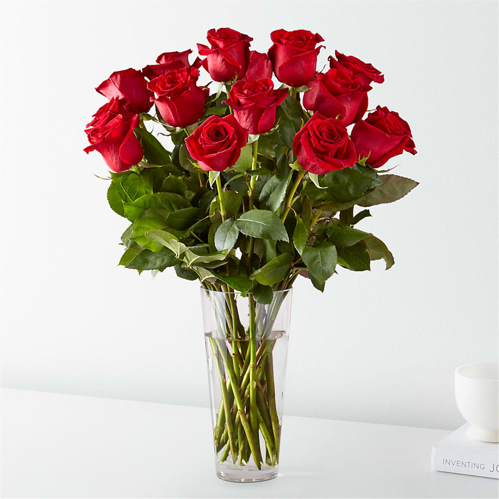 Long Stem Red Rose Bouquet – Party Evolution Llc, Tampa FL