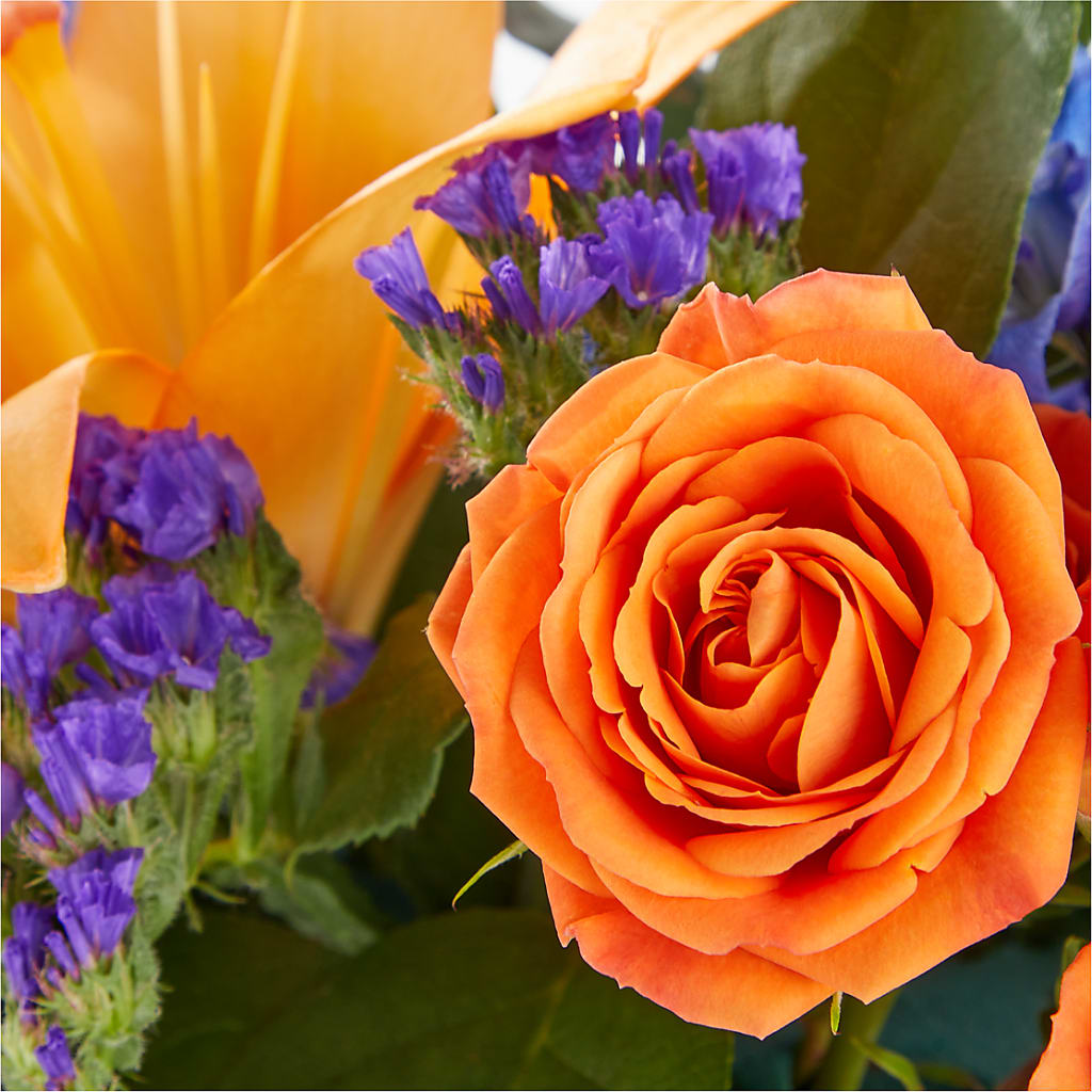 Radiant Citrus Box Bouquet – Party Evolution Llc, Tampa FL