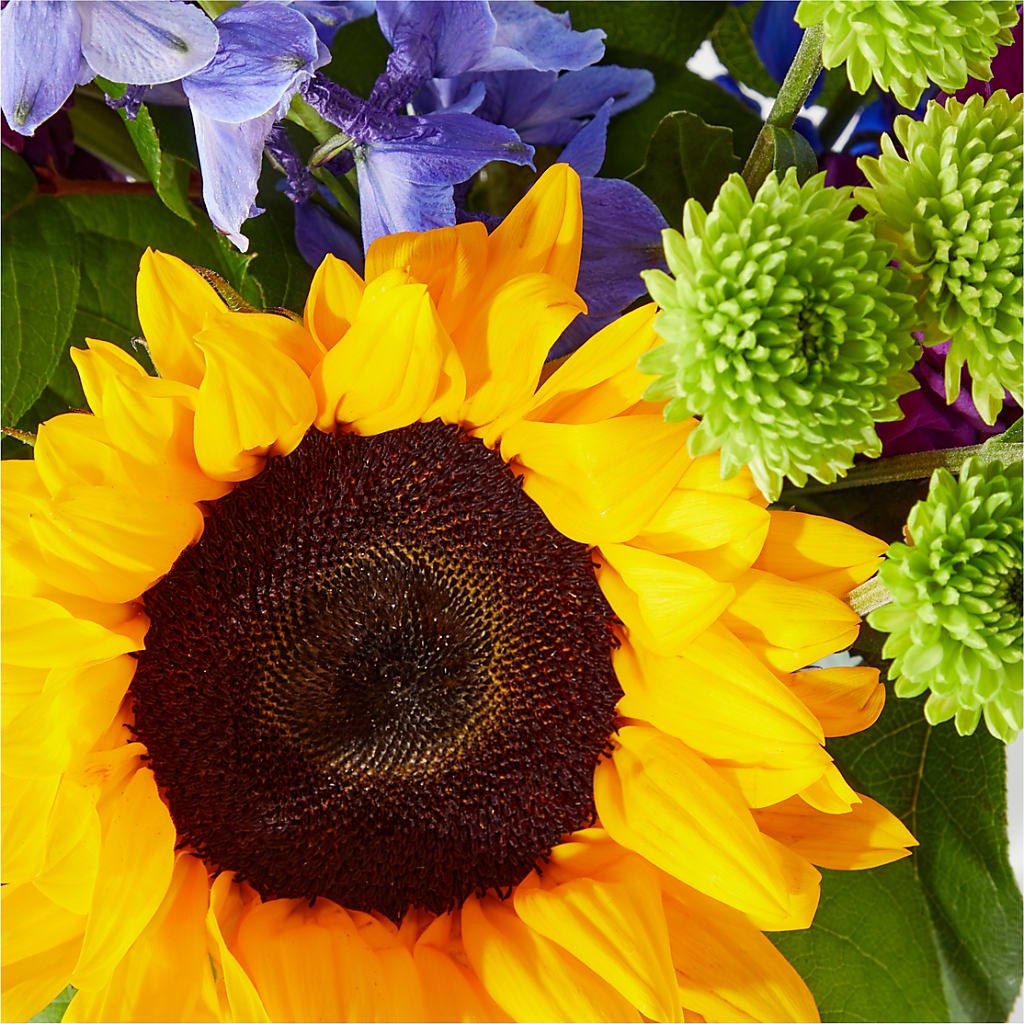 Catching Rays Bouquet – Party Evolution Llc, Tampa FL