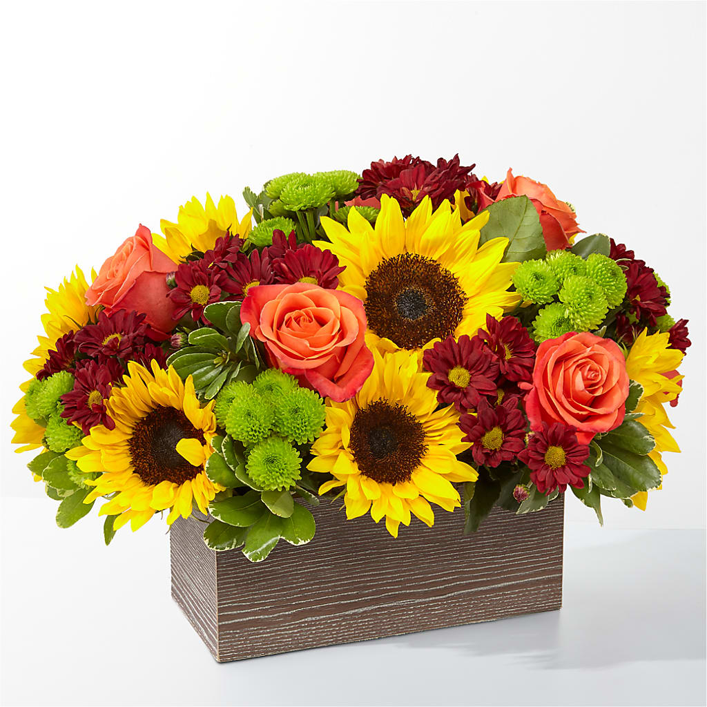Happy Harvest Garden – Party Evolution Llc, Tampa FL