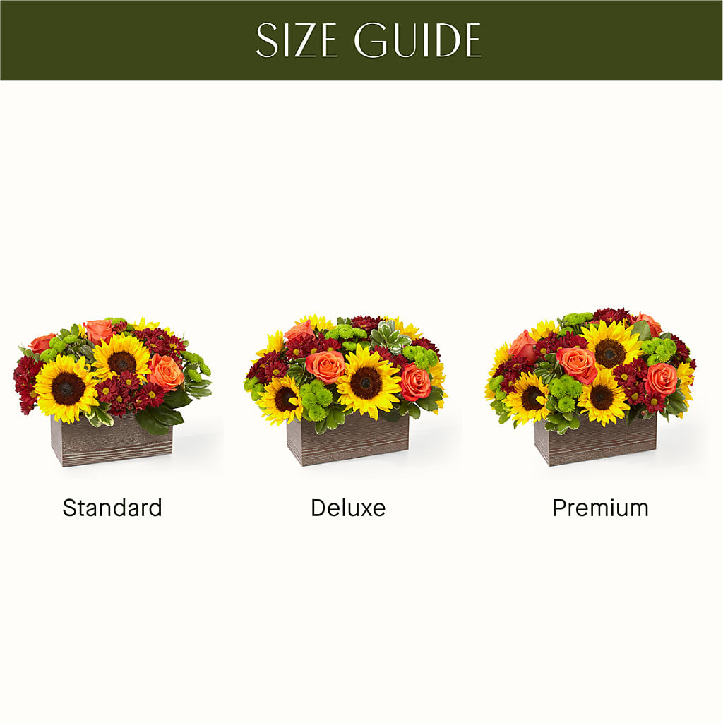 Happy Harvest Garden – Party Evolution Llc, Tampa FL