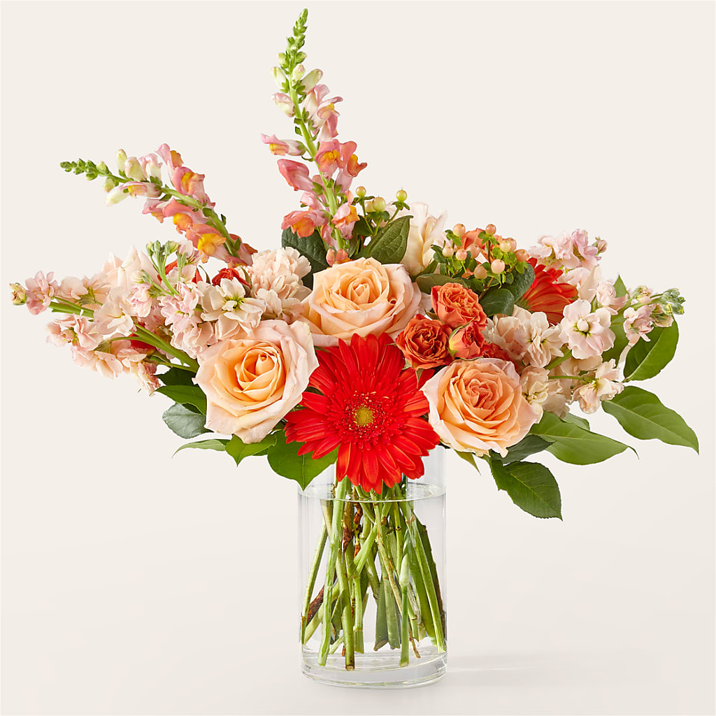 Paloma Please Bouquet – Party Evolution Llc, Tampa FL