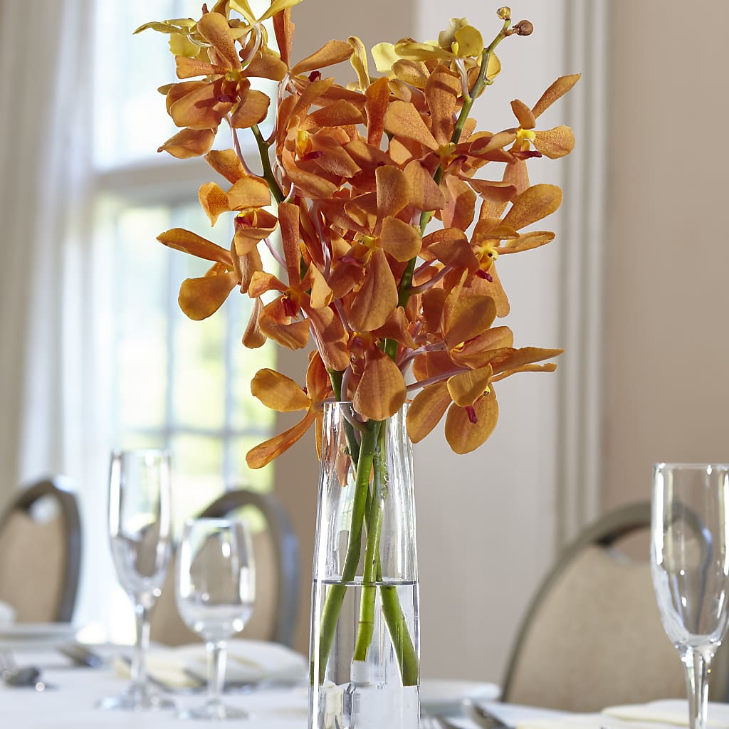Orange Mokara Bud Vase – Party Evolution Llc, Tampa FL