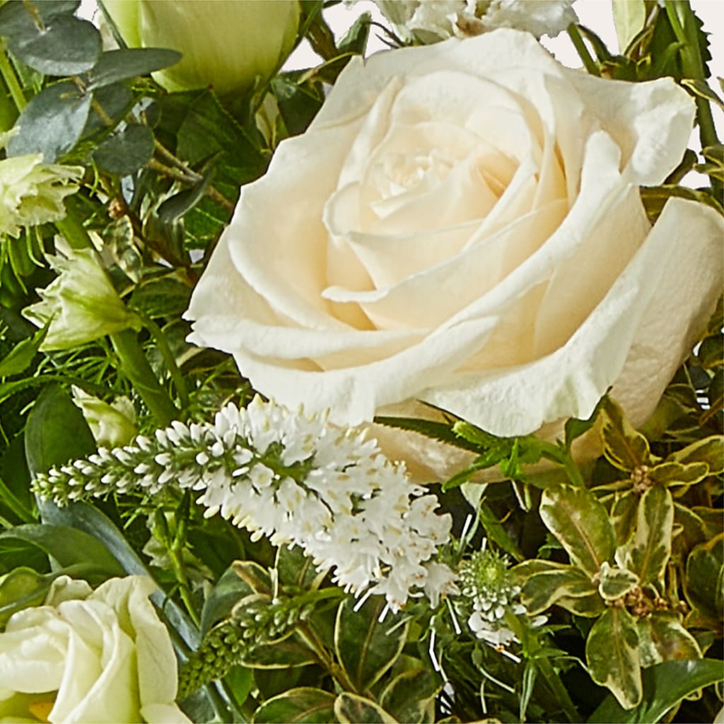 Cashmere Bouquet –  Party Evolution Llc, Tampa FL