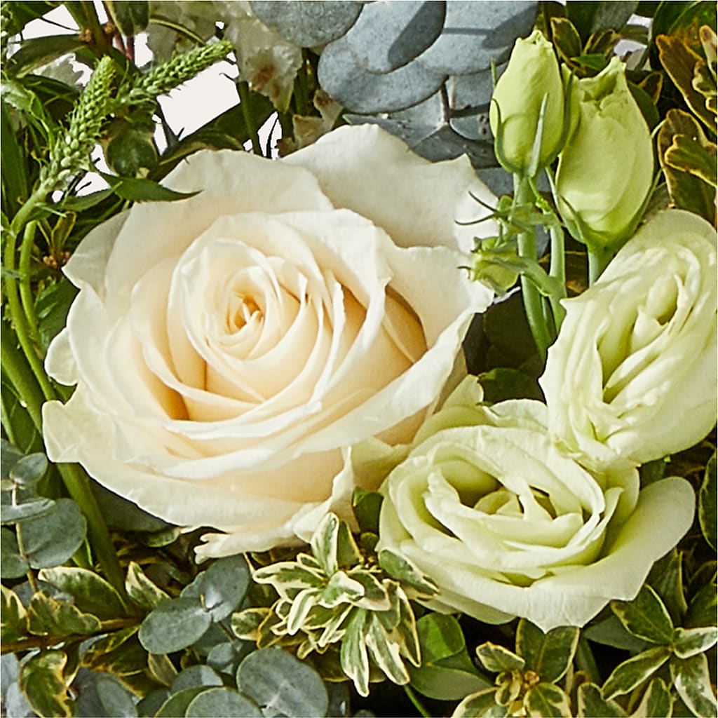 Cashmere Bouquet –  Party Evolution Llc, Tampa FL