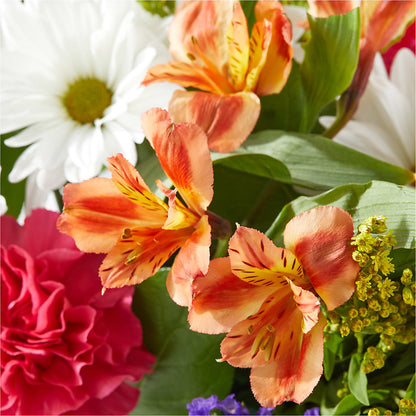 Oopsie Daisy Box Bouquet –  Party Evolution Llc, Tampa FL