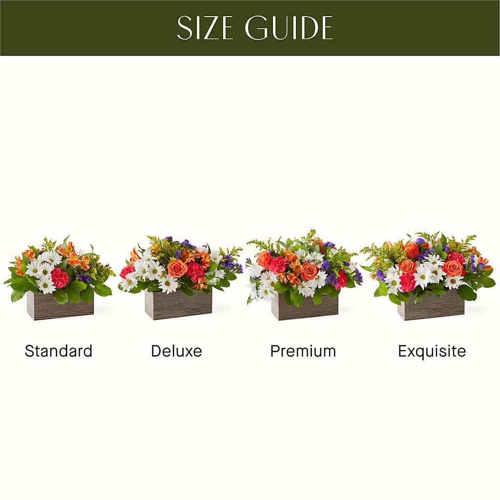 Oopsie Daisy Box Bouquet –  Party Evolution Llc, Tampa FL