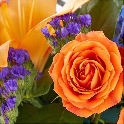Radiant Citrus Box Bouquet –  Party Evolution Llc, Tampa FL