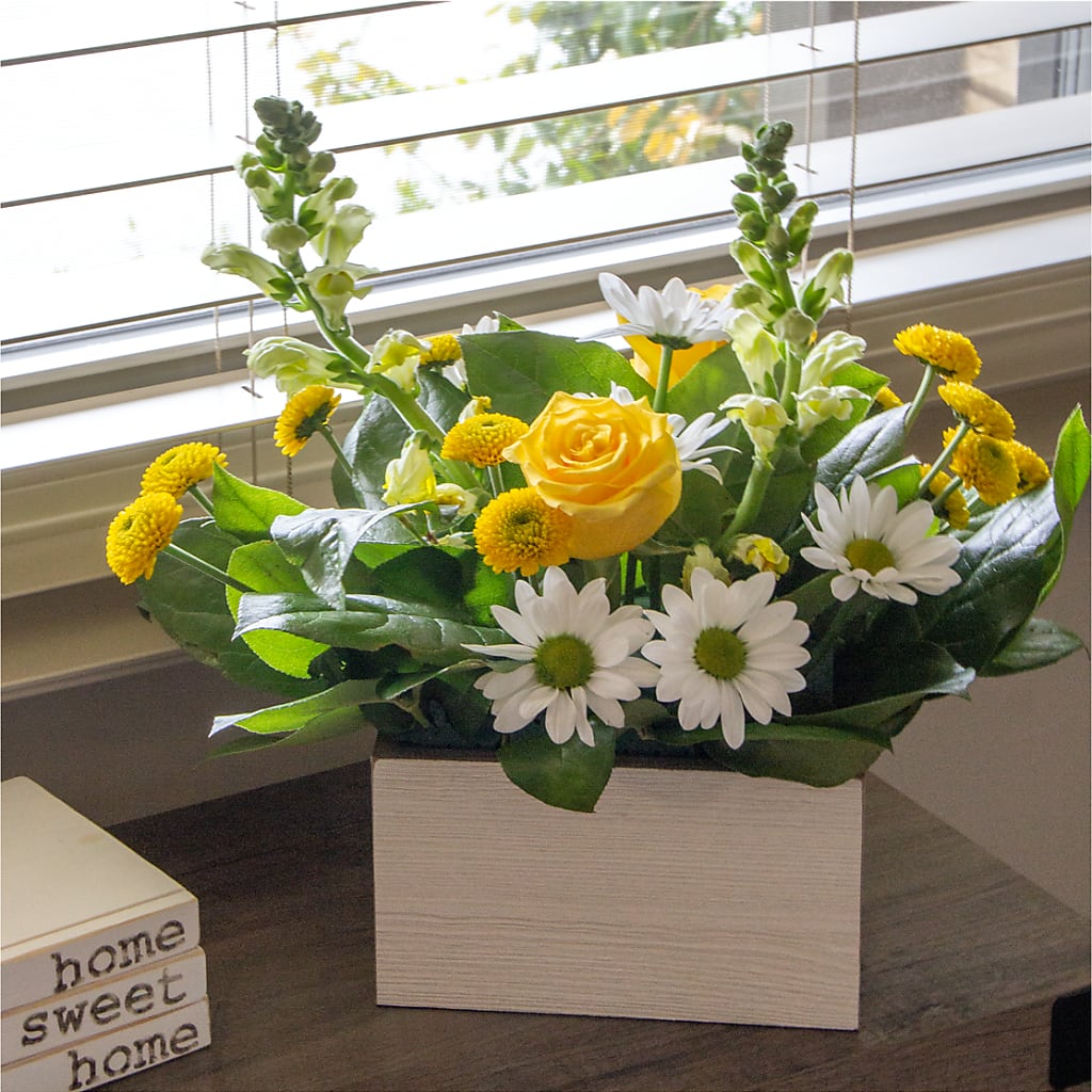 Sun Salutation Box Bouquet –  Party Evolution Llc, Tampa FL