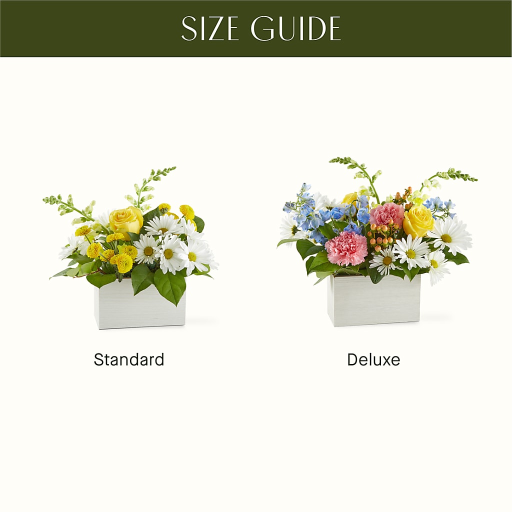 Sun Salutation Box Bouquet –  Party Evolution Llc, Tampa FL