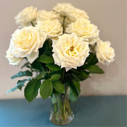 Long Stem Yellow Rose Bouquet –  Party Evolution Llc, Tampa FL
