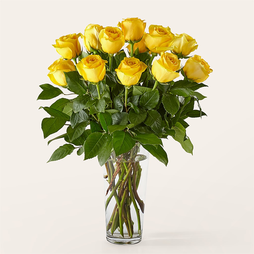 Long Stem Yellow Rose Bouquet –  Party Evolution Llc, Tampa FL