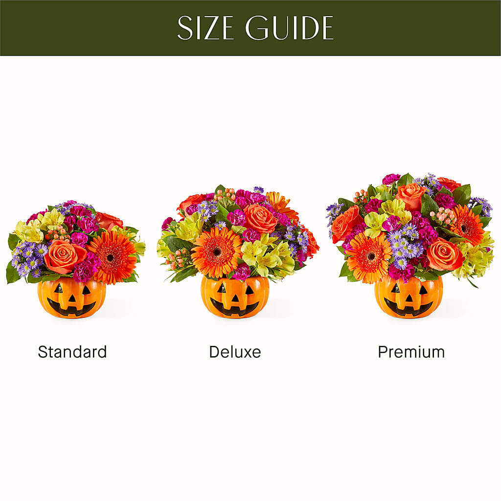 Tricks & Treats Pumpkin –  Party Evolution Llc, Tampa FL