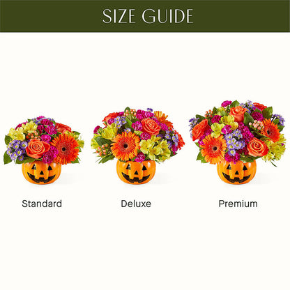Tricks & Treats Pumpkin –  Party Evolution Llc, Tampa FL