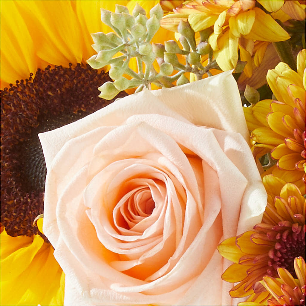 Pumpkin to Talk About Bouquet –  Party Evolution Llc, Tampa FL