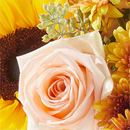 Pumpkin to Talk About Bouquet –  Party Evolution Llc, Tampa FL