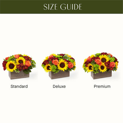 Happy Harvest Garden –  Party Evolution Llc, Tampa FL