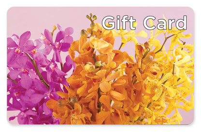 Gift Card –  Party Evolution Llc, Tampa FL