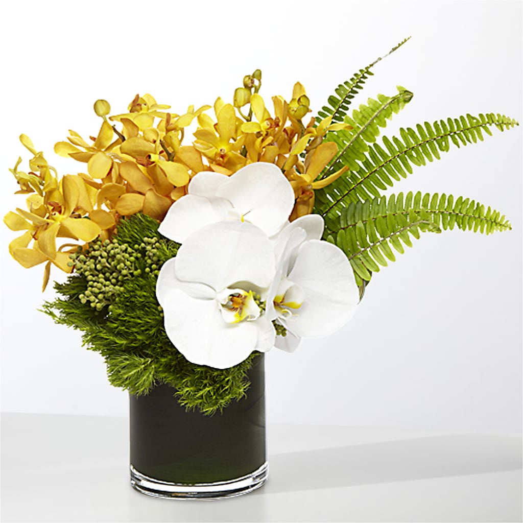 The Tropics –  Party Evolution Llc, Tampa FL