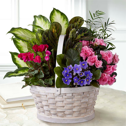 Peaceful Garden Planter –  Party Evolution Llc, Tampa FL
