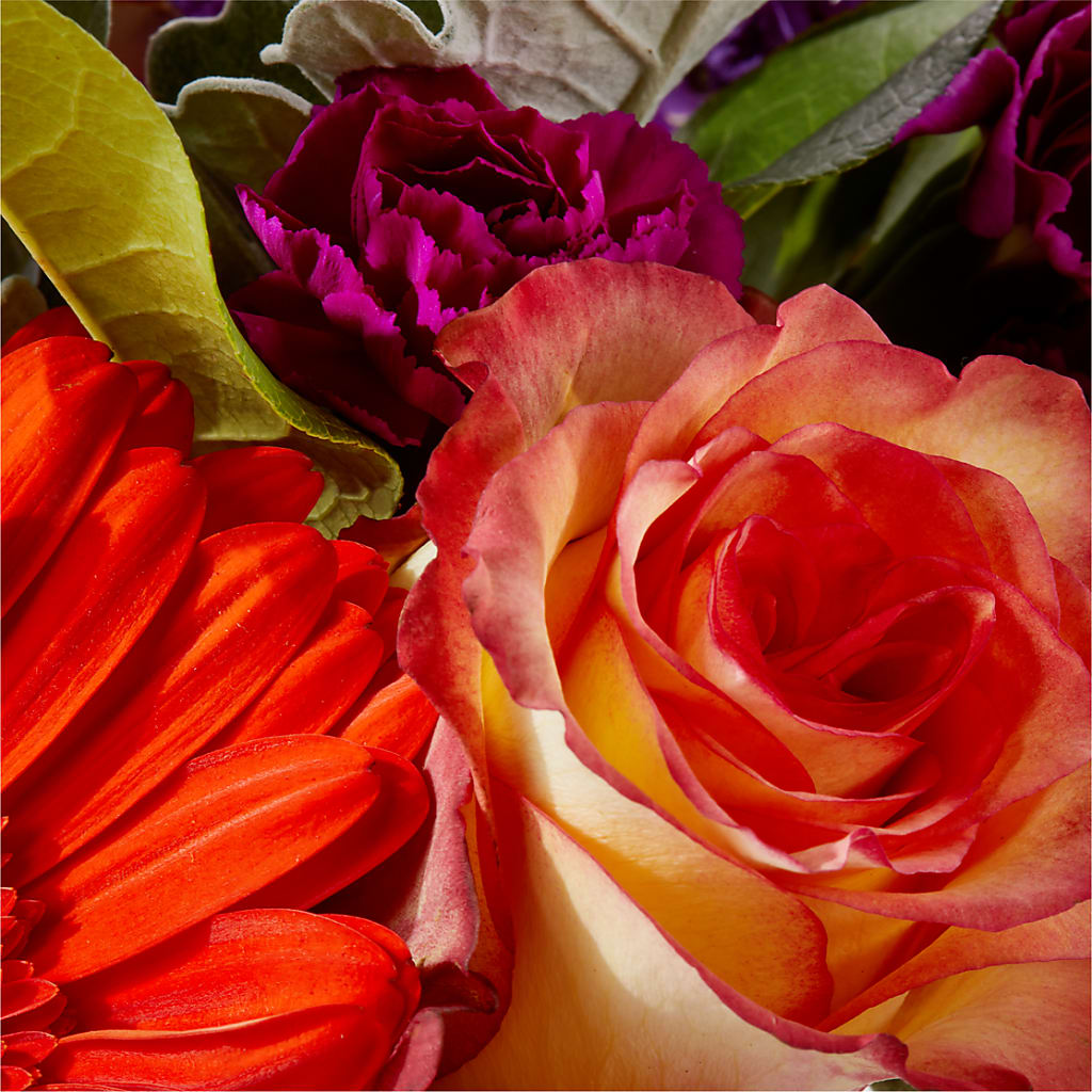 Sangria Bouquet –  Party Evolution Llc, Tampa FL
