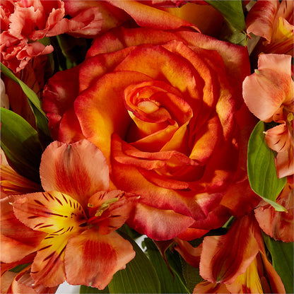 Apricot Glow Bouquet –  Party Evolution Llc, Tampa FL