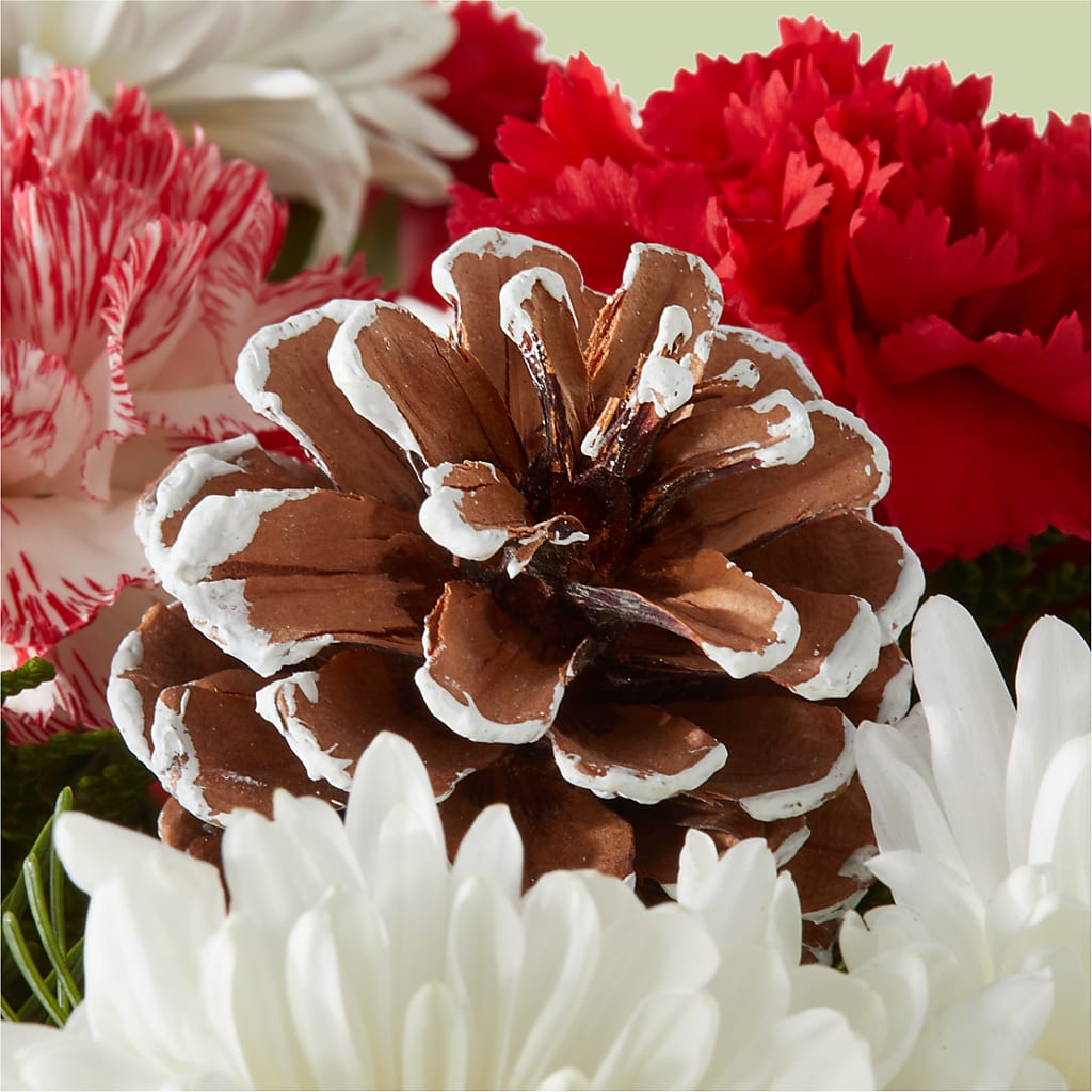 Candy Cane Lane Bouquet –  Party Evolution Llc, Tampa FL