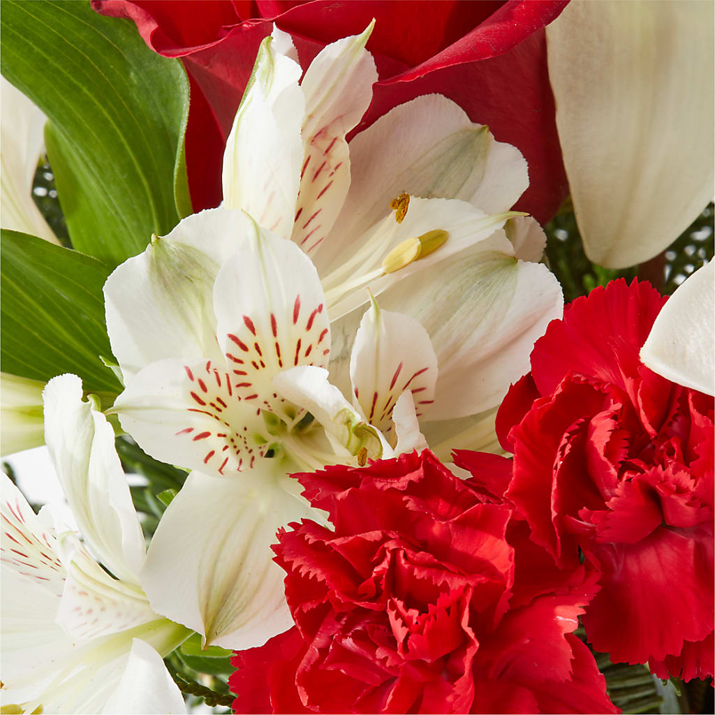 Holiday Season Bouquet –  Party Evolution Llc, Tampa FL