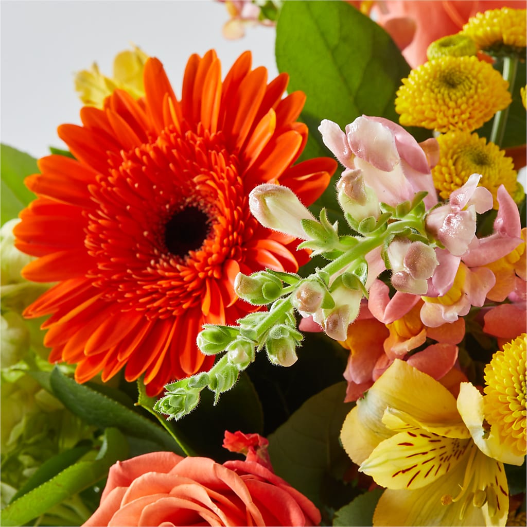 Autumn Sunshine Bouquet –  Party Evolution Llc, Tampa FL