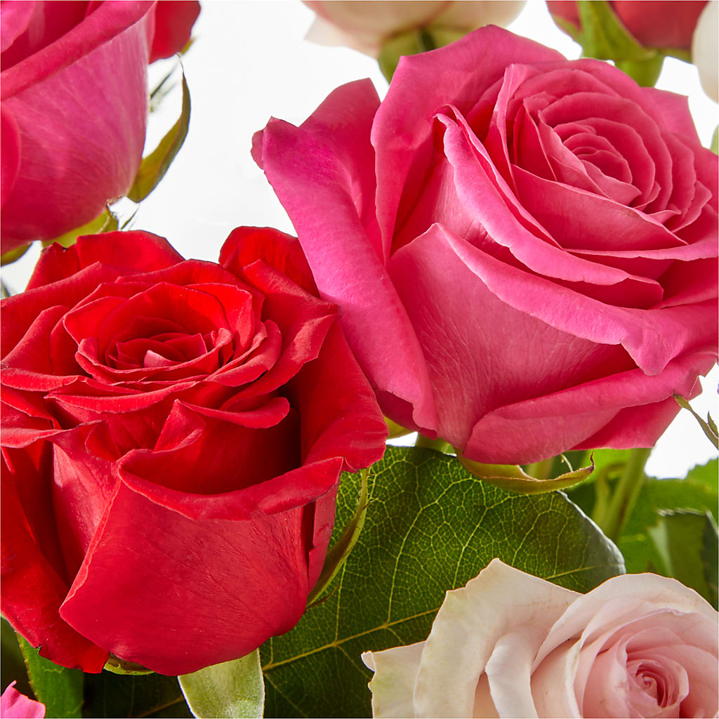 Charming Rose Bouquet –  Party Evolution Llc, Tampa FL