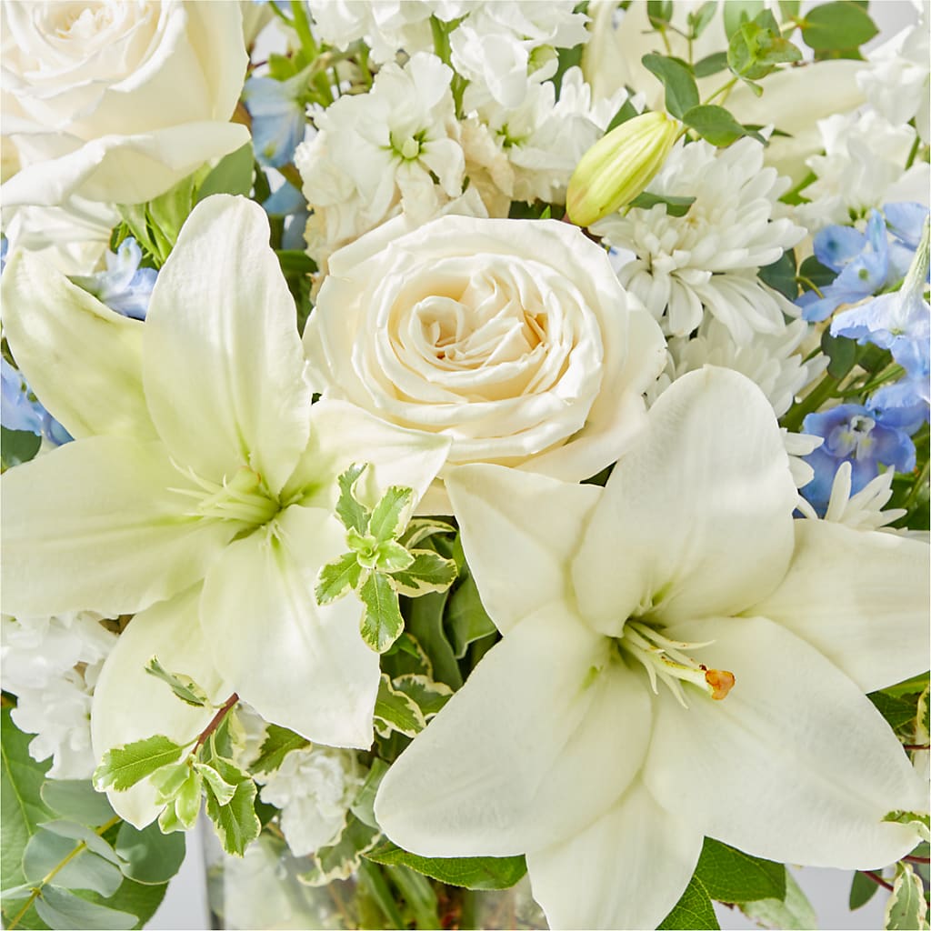Peace of Mind Bouquet –  Party Evolution Llc, Tampa FL