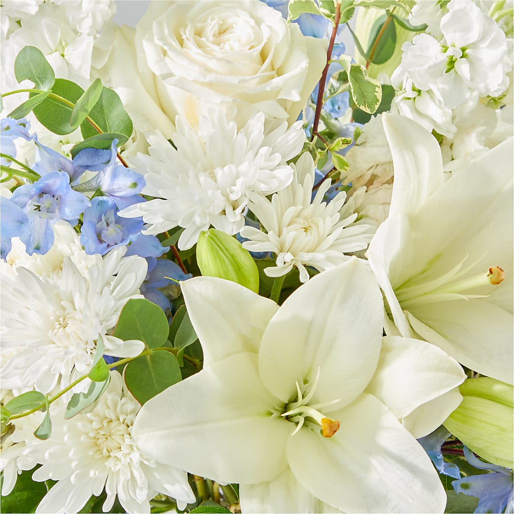 Peace of Mind Bouquet –  Party Evolution Llc, Tampa FL
