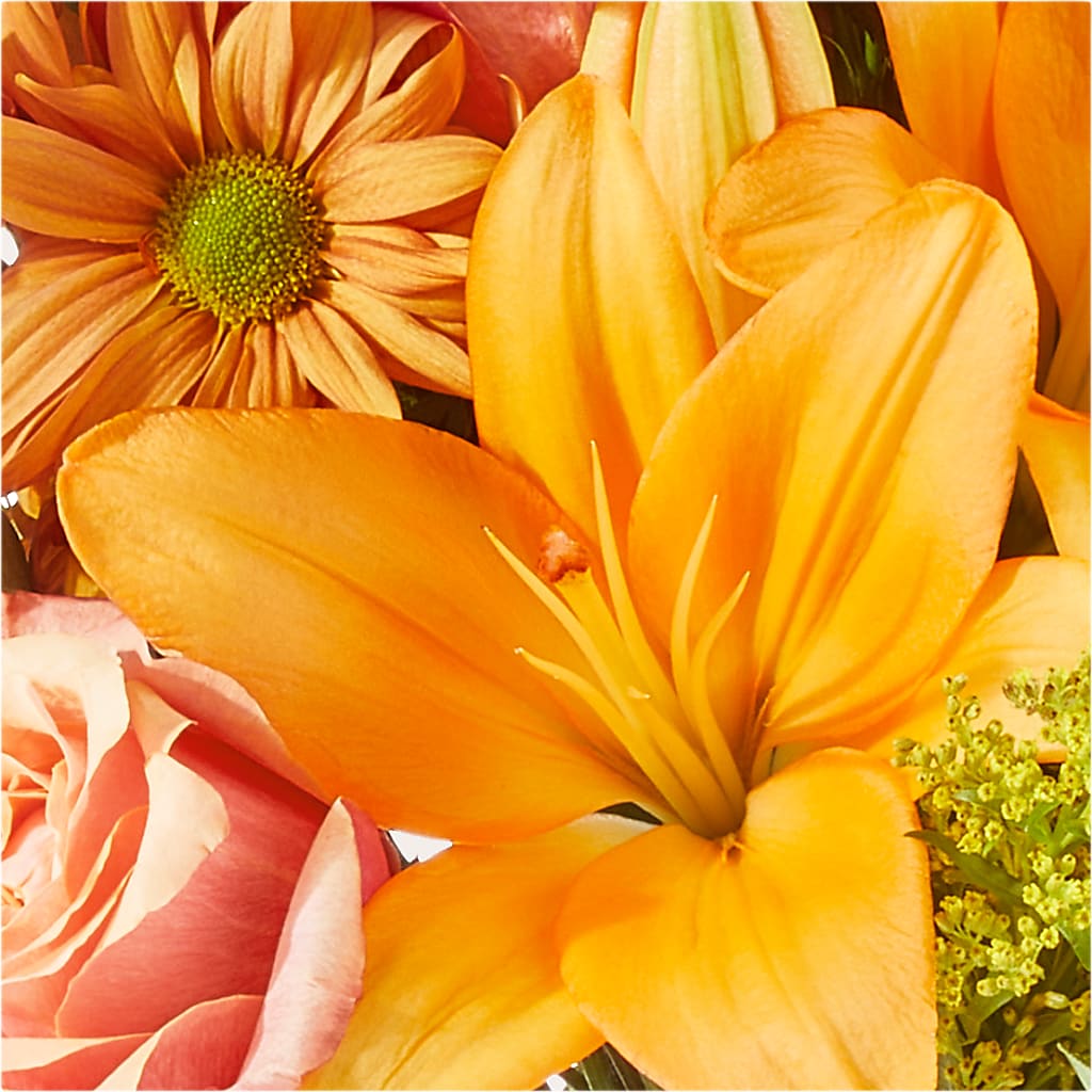 Harvest Hayride Bouquet –  Party Evolution Llc, Tampa FL