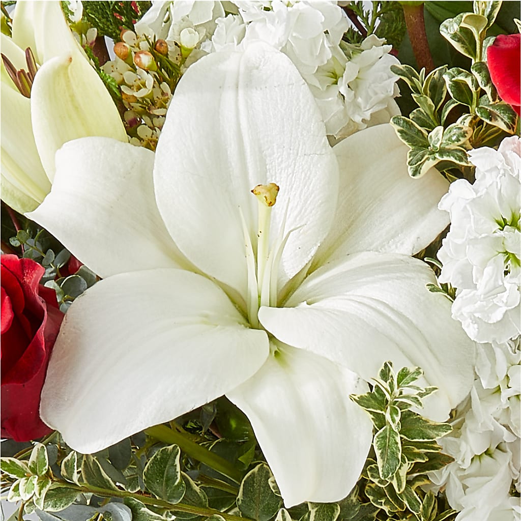 Twinkle Lights Bouquet –  Party Evolution Llc, Tampa FL