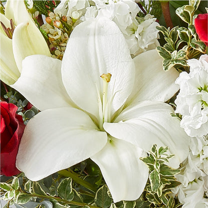 Twinkle Lights Bouquet –  Party Evolution Llc, Tampa FL