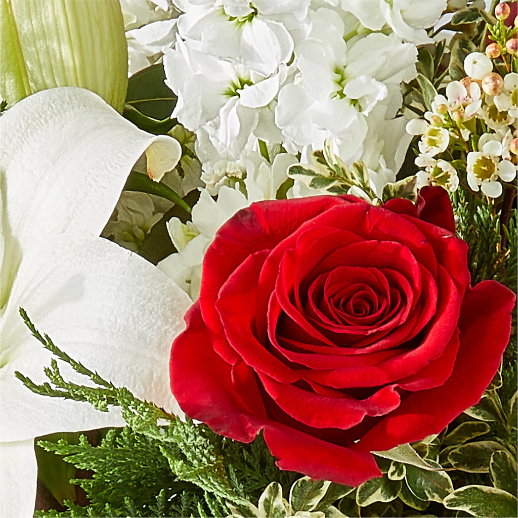 Twinkle Lights Bouquet –  Party Evolution Llc, Tampa FL