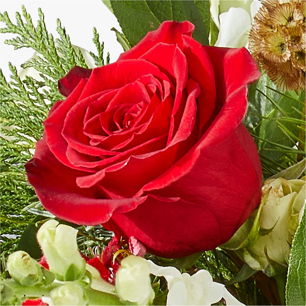 Deck the Halls Bouquet –  Party Evolution Llc, Tampa FL