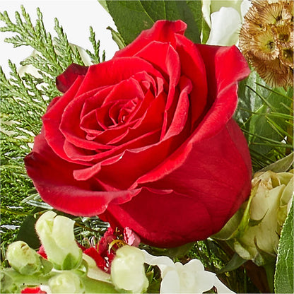 Deck the Halls Bouquet –  Party Evolution Llc, Tampa FL