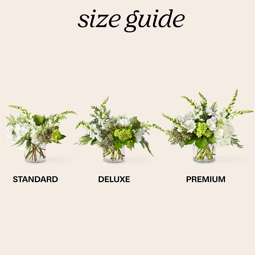 Marshmallows on Top Bouquet –  Party Evolution Llc, Tampa FL