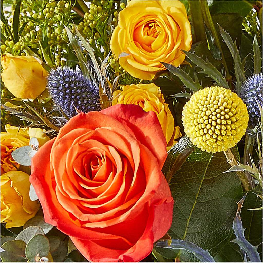 Disco Bouquet –  Party Evolution Llc, Tampa FL