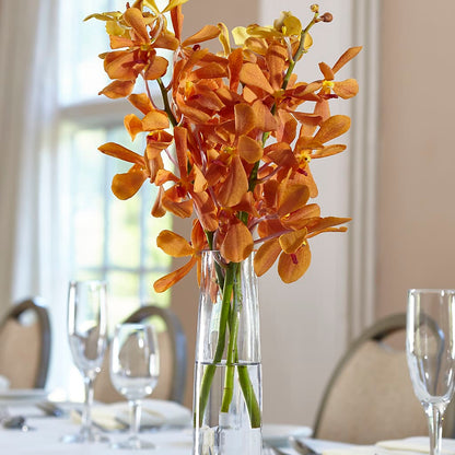 Orange Mokara Bud Vase –  Party Evolution Llc, Tampa FL