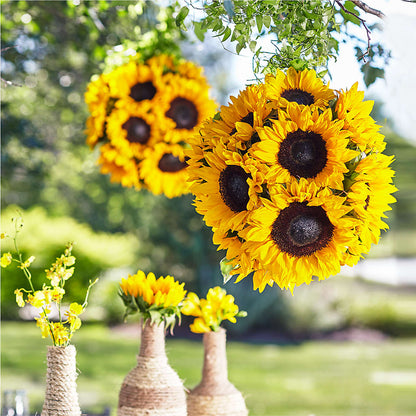 Sublime Garden Hanging Arrangement –  Party Evolution Llc, Tampa FL