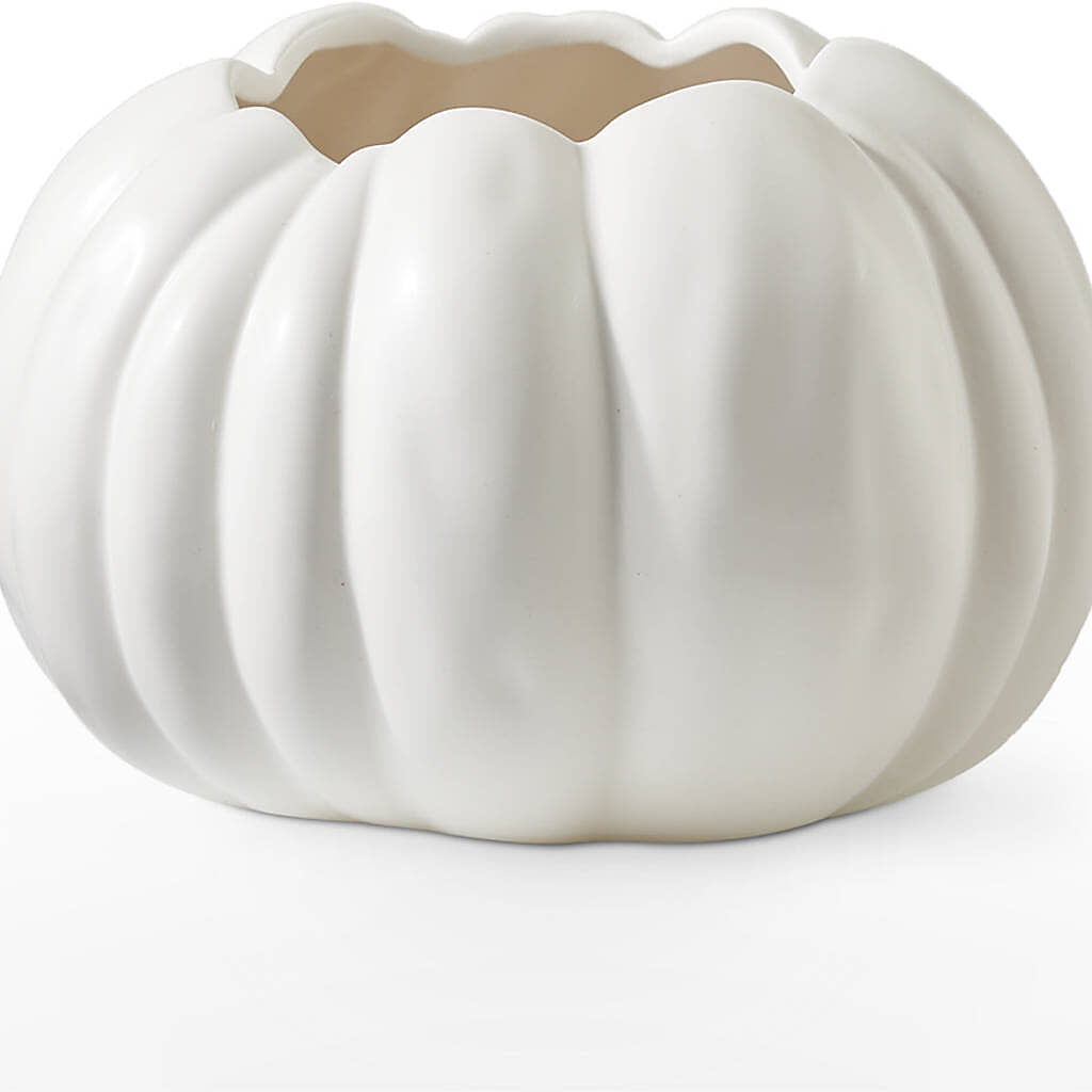 Pumpkin to Talk About Bouquet –  Party Evolution Llc, Tampa FL